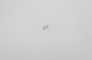 REFLEX RACING RX28 SOFT SIDE SPRING (WHITE SILVER)